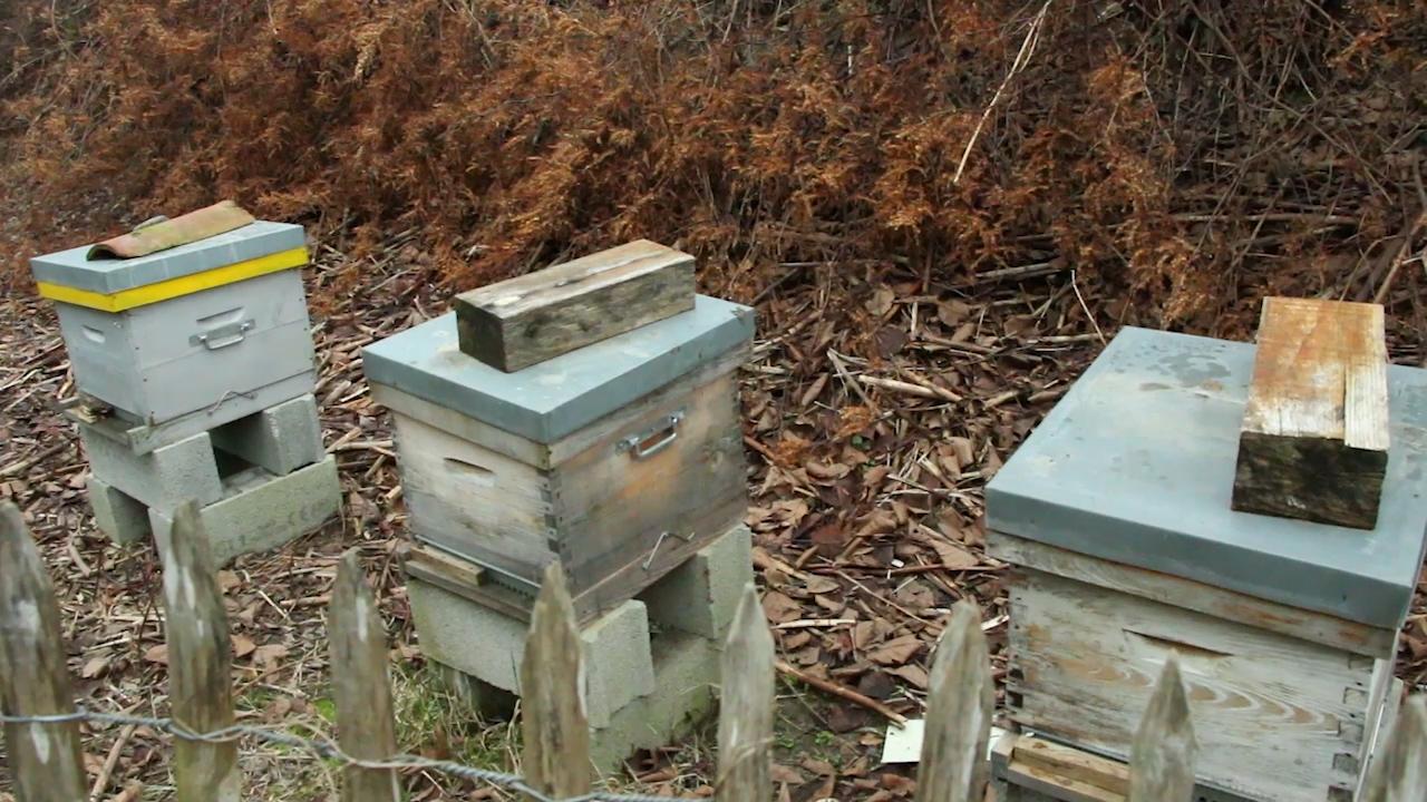 cletram.00_41_02_10.Image fixe118.jpg